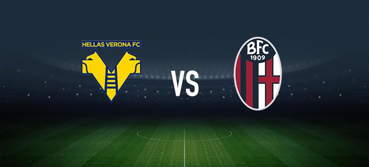 和非正式的 和非正式的