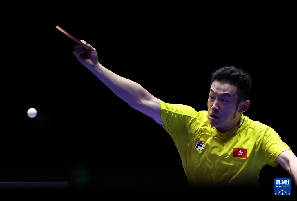 灰熊的崛起 灰熊的崛起