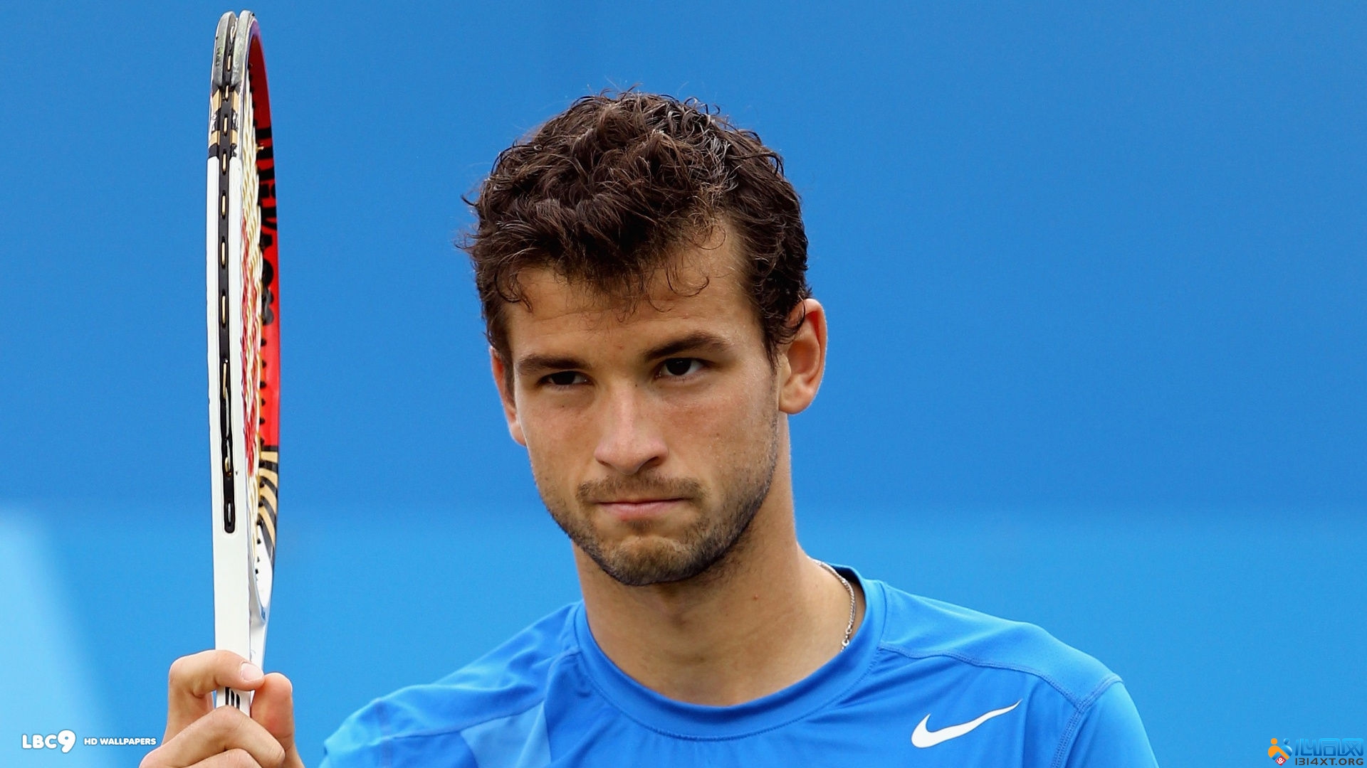 疑为伯恩茅 疑为伯恩茅