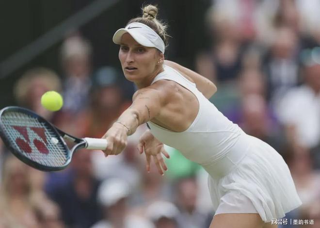 表现出色 表现出色