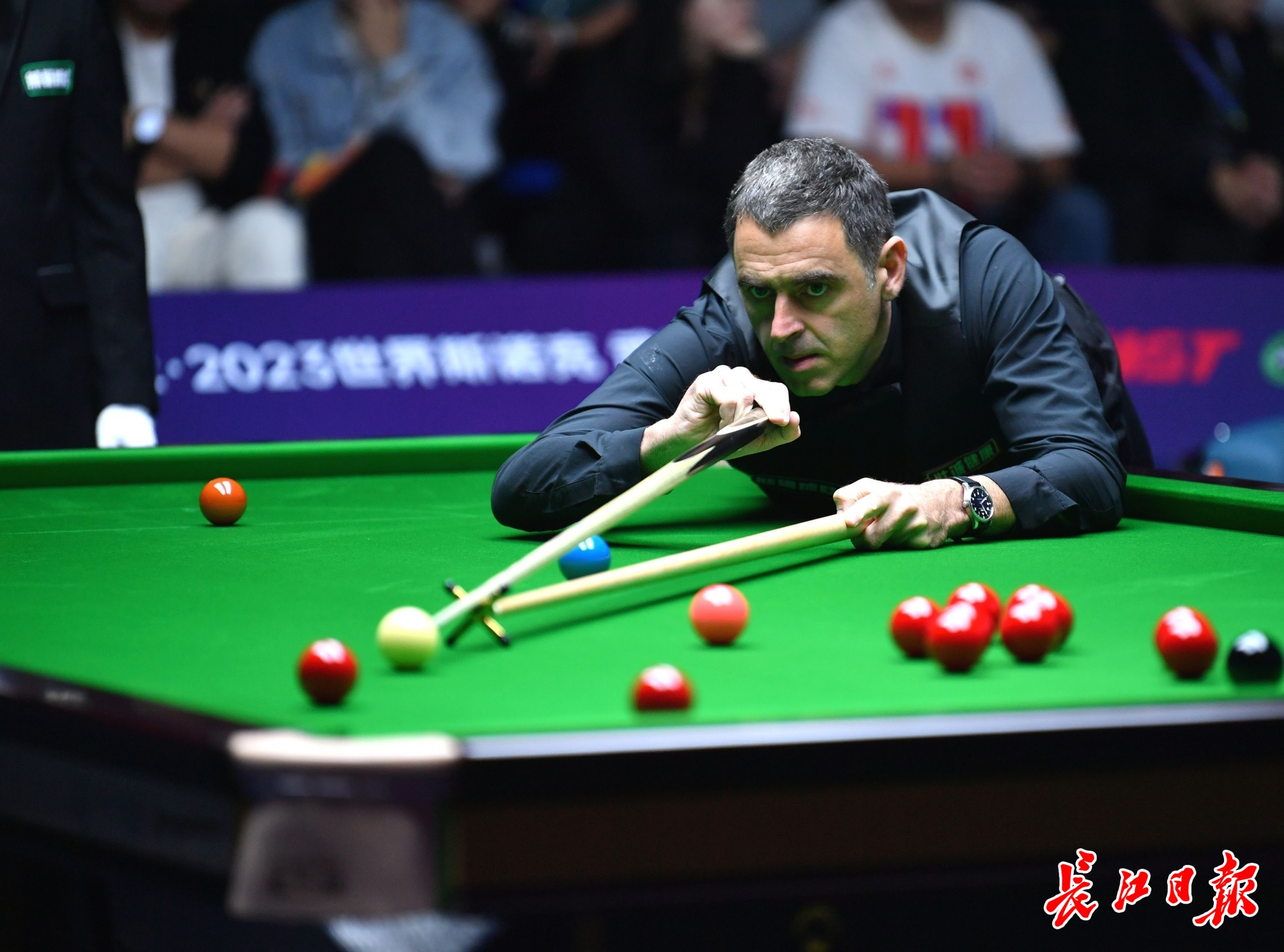 摩纳哥主教 摩纳哥主教