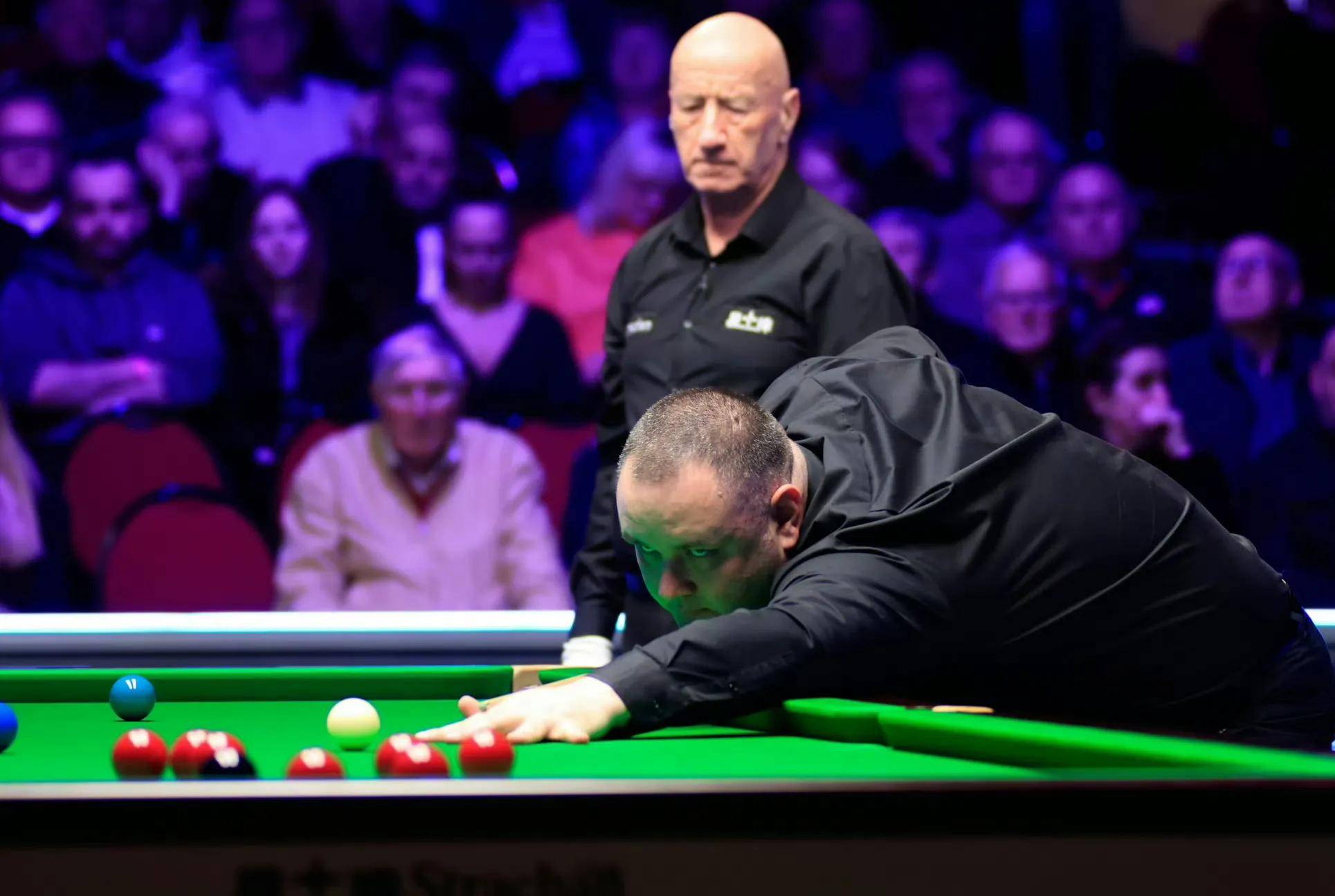 立体和鲜活 立体和鲜活